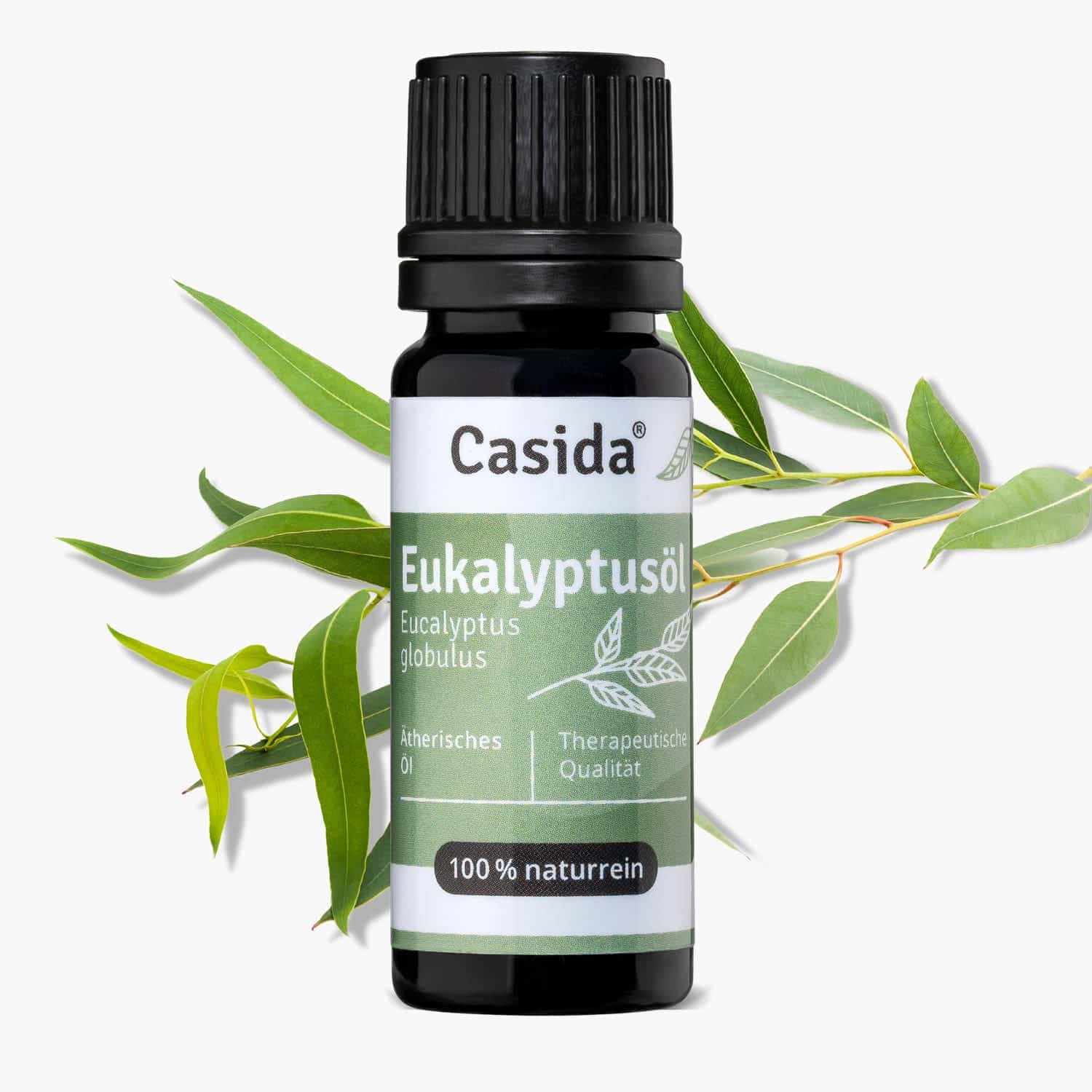 Casida Eukalyptus Öl - 10 ml